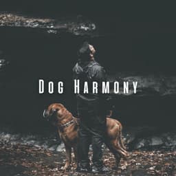Dog Harmony: Chill Sounds with Rain for Joyful Bonds - Sounds of Rain