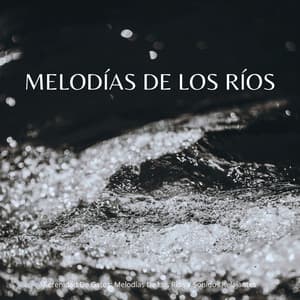 Serenidad De Gatos: Melodías De Los Ríos Y Sonidos Relajantes - Corriente Meteorica