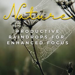 Productive Raindrops: Serene Rain Sounds for Enhanced Work Focus - The Power of Rain