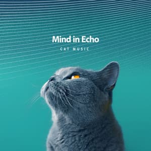 Mind in Echo - Cat Music