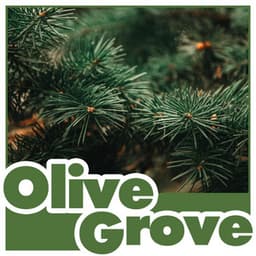 Olive Grove - Natures Orchestra