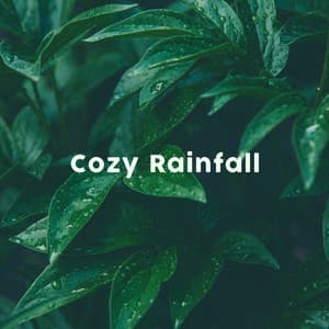 Cozy Rainfall - Cozy Sound Makers