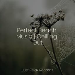 Perfect Beach Music | Chilling Out - Deep Sleep Meditation