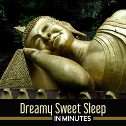 Dreamy Sweet Sleep in Minutes - Natural Sleep Aid Music Zone
