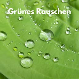 Grünes Rauschen - Weißes Rauschen HD