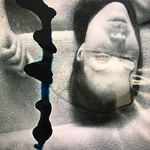 Permission - Paula Rae Gibson