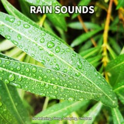 #1 Rain Sounds for Relaxing, Sleep, Studying, Children - Rain Sounds