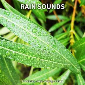 #1 Rain Sounds for Relaxing, Sleep, Studying, Children - Rain Sounds