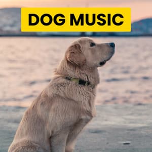 2023 Dog Relaxing Music - Cat Music