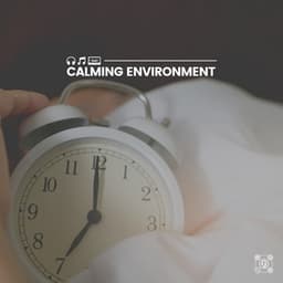Calming Environment - Music For Relaxing