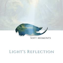 Light's Reflection - Soft Moments