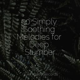 50 Simply Soothing Melodies for Deep Slumber - White Noise Baby Sleep