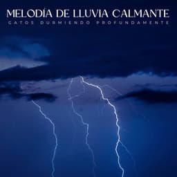 Melodía De Lluvia Calmante: Gatos Durmiendo Profundamente - Llovió