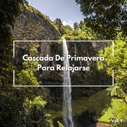 Cascada De Primavera Para Relajarse Vol. 1 - Estados de ánimo y sonidos de agua