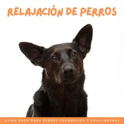 Relajación De Perros: Ruido Rosa Para Perros Tranquilos Y Equilibrados - Muestras de alta frecuencia