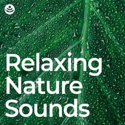 Relaxing Nature Sounds - Relaxing Nature Sounds Collection
