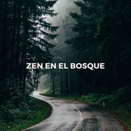 Zen En El Bosque: Reflexiones Boscosas - Bosque Tropical