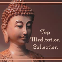 Top Meditation Collection: The Best Relaxation Music, Healing Yoga, Stress Relief Sound & Massage Therapy - Healing Touch Zone