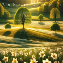 Bahar Rüyası: Anadolu’nun Mistik Nefesi - Gevşeme Meditasyon Akademisi