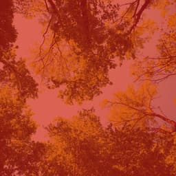 Music for Creative Daydreams - Soft Acoustic Jazz