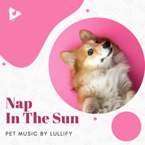 Nap In The Sun - Pet Music by Lullify