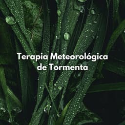 Terapia Meteorológica De Tormenta - Tormentas eléctricas y sonidos de tormenta de lluvia