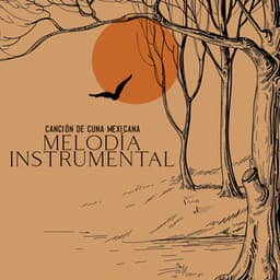 Canción de Cuna Mexicana: Melodía Instrumental para Dormir en Paz, Balada de Guitarra para Descansar por la Noche - Dormir Maestro