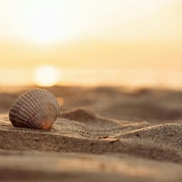 Learning From Life - Beats De Rap