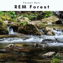1 REM Forest - Forest Noir