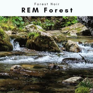 1 REM Forest - Forest Noir
