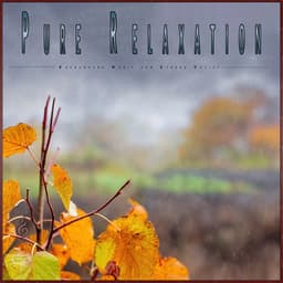 Pure Relaxation: Background Music for Stress Relief - Music for Relaxing Energy