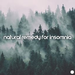 Natural Remedy for Insomnia: Forest Ambience for Sleep Problems - Soothing Sounds Universe