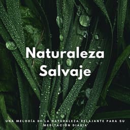 Naturaleza Salvaje: Una Melodía De La Naturaleza Relajante Para Su Meditación Diaria - Sonidos Relajantes de Naturaleza