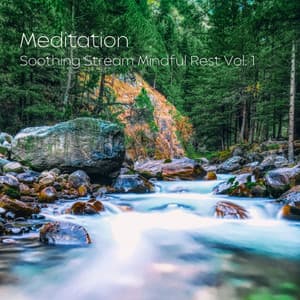 Meditation: Soothing Stream Mindful Rest Vol. 1 - Sounds of Nature Relaxation