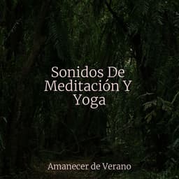 Sonidos De Meditación Y Yoga - Música relaxante