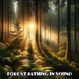Forest Bathing in Sound: Imaginative Healing Tones & Forest Sounds, Path Through Nature's Sanctuary - Relaxing Nature Sounds Collection