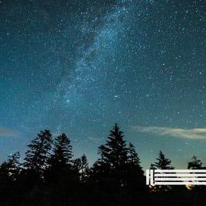 Crickets In The Evening - Night Sounds