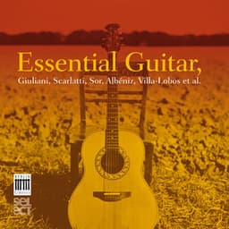 Essential Guitar - Claudio Maccari