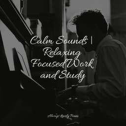 50 Piano Melodies for Peace and Relaxation - Calm Music for Studying