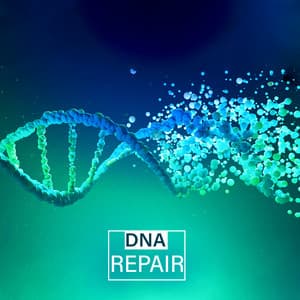 DNA Repair - Earl Cooper