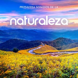 Primavera Sonidos de la Naturaleza: Pájaros de la Mañana, Lluvia Suave de la Mañana, Río Relajante, Viento Relajante y Olas del Mar Relajantes - Academia de Música Con Sonidos de la Naturaleza