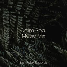 Calm Spa Music Mix - Musica para Dormir Dream House