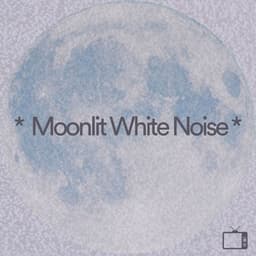 * Moonlit White Noise * - The Background Noise Company