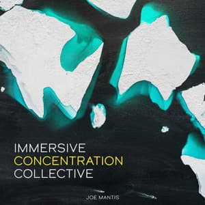 Immersive Concentration Collective - Joe Mantis
