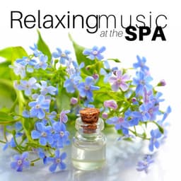Relaxing Music at the Spa - Sauna & Relax