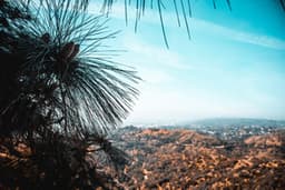 Hit Me With A Rhythm | Stress Relief Music, Sounds - Pro Sounds of Nature