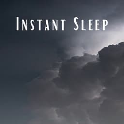 1 Instant Sleep - Majestic Sleep