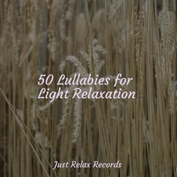 50 Lullabies for Light Relaxation - Meditation