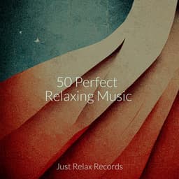 50 Perfect Relaxing Music - Relaxed Minds