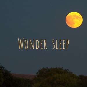 Wonder Sleep - Decidic FX